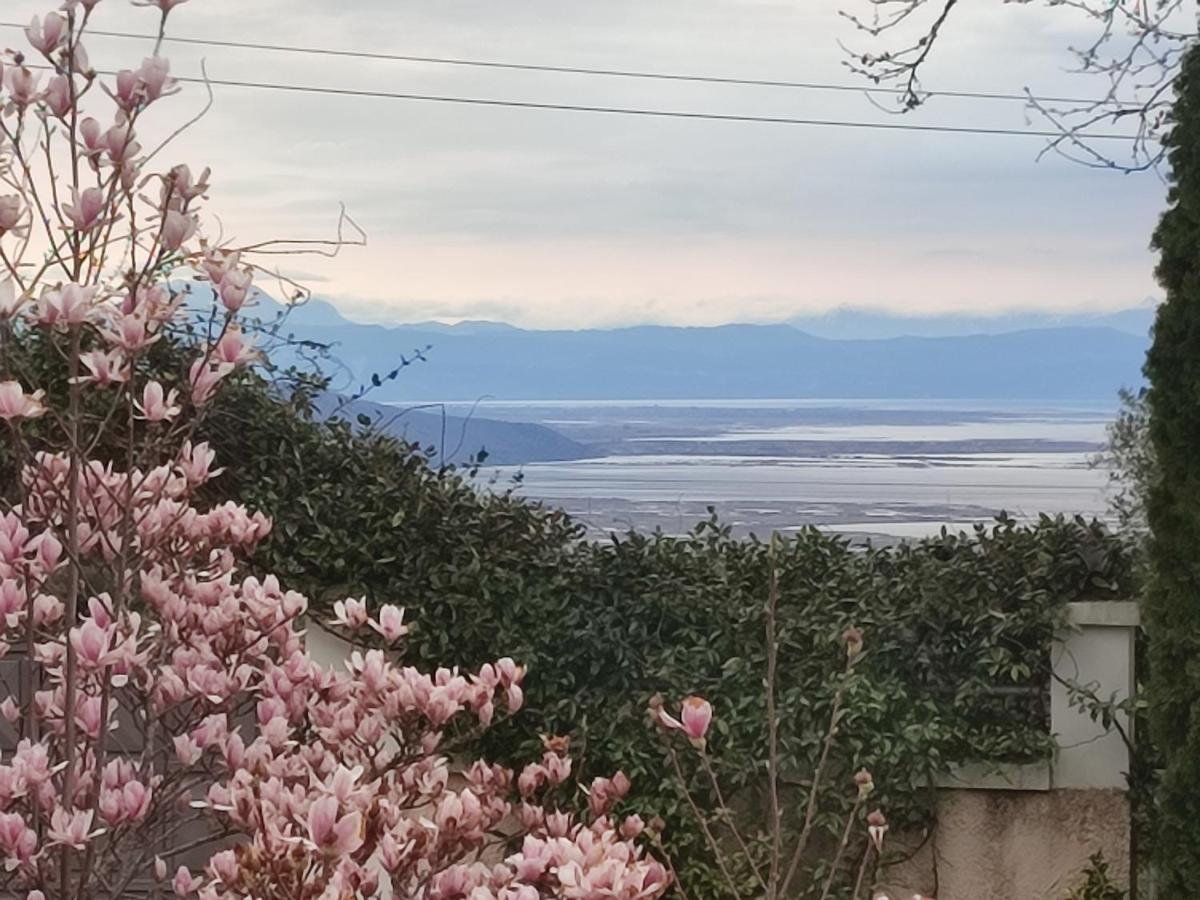 Guesthouse Michobeis Kamarína Exteriér fotografie