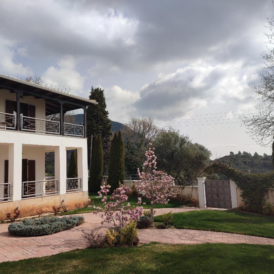 Guesthouse Michobeis Kamarína Exteriér fotografie