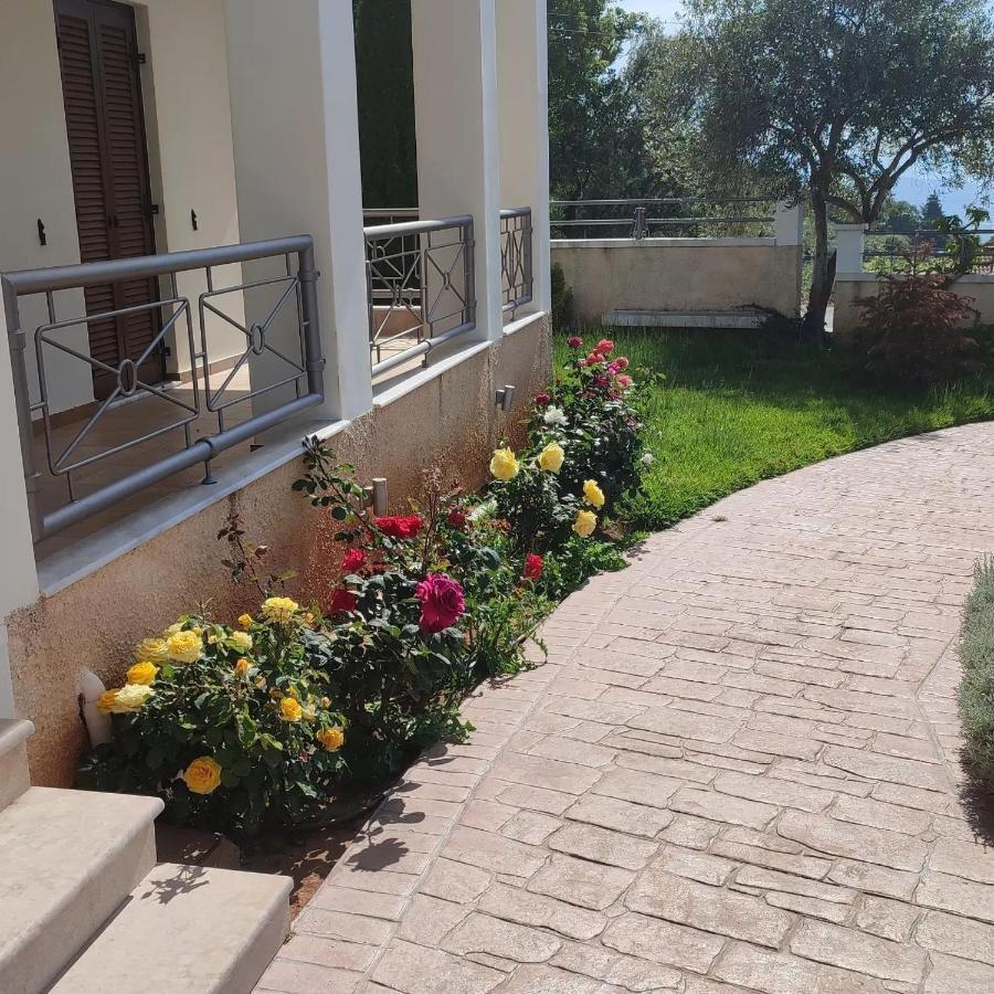 Guesthouse Michobeis Kamarína Exteriér fotografie
